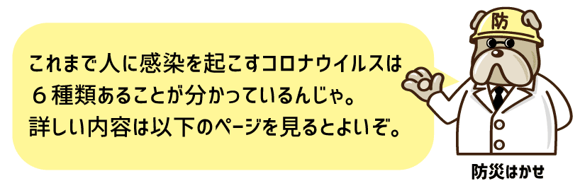 防災マガジン 防災はかせ3