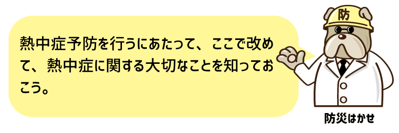 防災マガジン 防災はかせ6