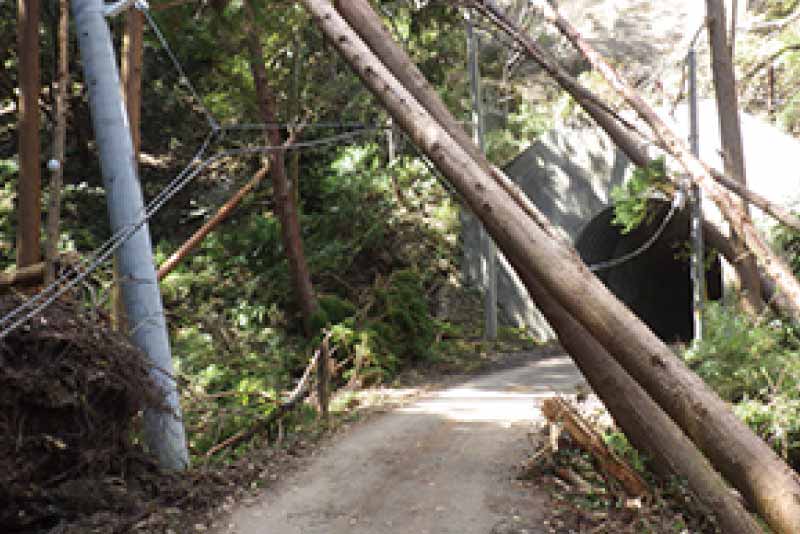 2019年9月 台風15号